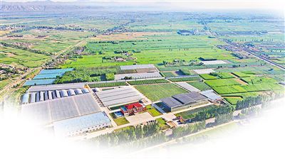 平羅 開創(chuàng)種業(yè)“芯”未來 跑出振興加速度