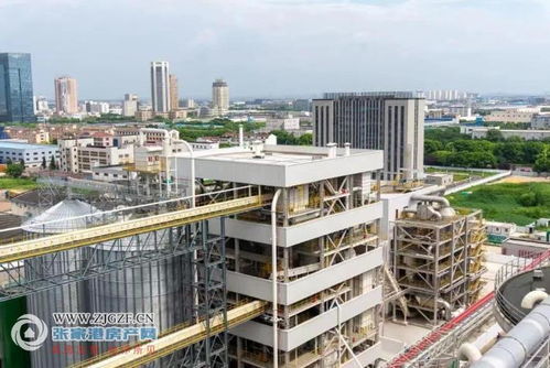 江海糧油張家港產業園二期榨油廠順利投產，年產96萬噸助力種業與糧油產業鏈協同發展